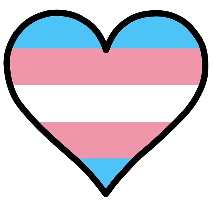 trans flag